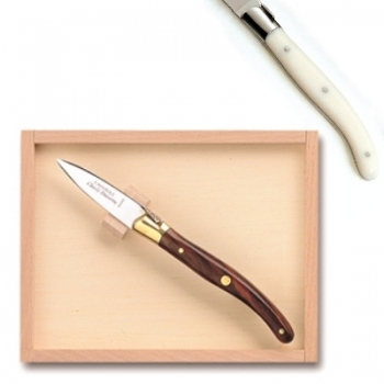 Laguiole Austernmesser in Box, L 16 cm, polierte Edelstahlbacken, elfenbeinfarbig