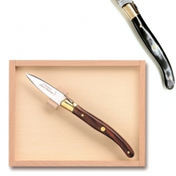 Laguiole Austernmesser in Box, L 16 cm, polierte Messingbacken, Horn dunkel