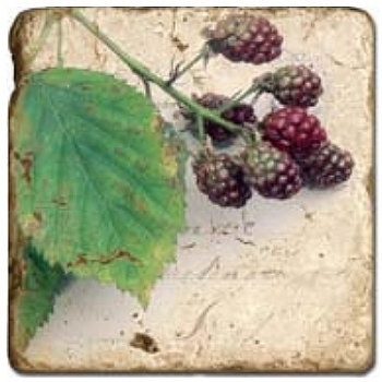 Marmorfliese, Motiv: Obst C,  Antikfinish,  Aufhängeöse, Antirutschfüßchen, Maße: L 20 x B 20 x H 1 cm