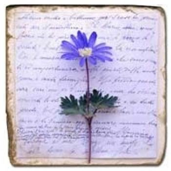 Marmorfliese, Motiv: Blütenbriefe 2 D,  Antikfinish,  Aufhängeöse, Antirutschfüßchen, Maße: L 20 x B 20 x H 1 cm