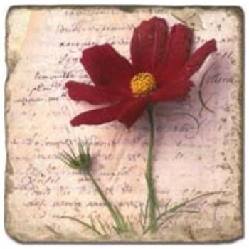 Marmorfliese, Motiv: Blütenbriefe 3 A,  Antikfinish,  Aufhängeöse, Antirutschfüßchen, Maße: L 20 x B 20 x H 1 cm